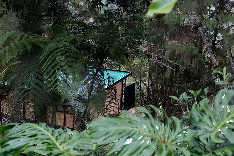 Cómoda suite colonial entre helechos y pinos