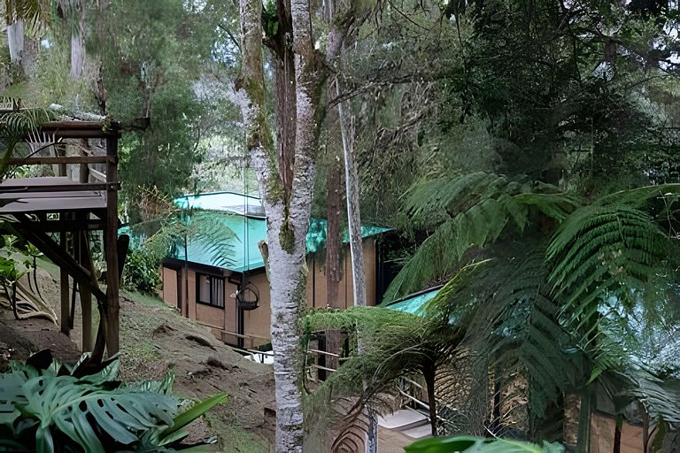 Cómoda suite colonial entre helechos y pinos