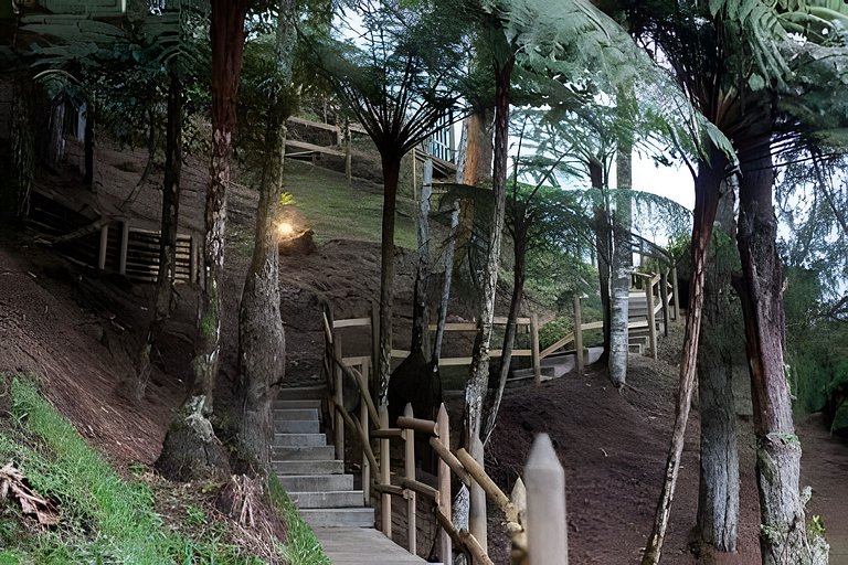 Cómoda suite colonial entre helechos y pinos